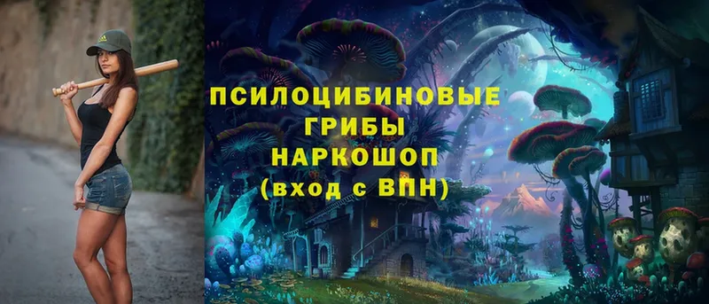 Как найти закладки Почеп Канабис  Псилоцибиновые грибы  Кокаин  ГАШИШ  Меф мяу мяу  СК 