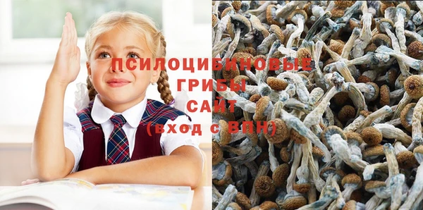 ALPHA-PVP Михайлов