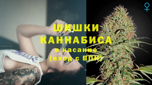 трава Михайловск