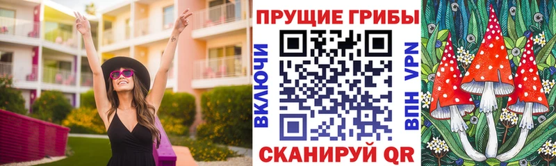 Псилоцибиновые грибы мухоморы купить наркотик Почеп